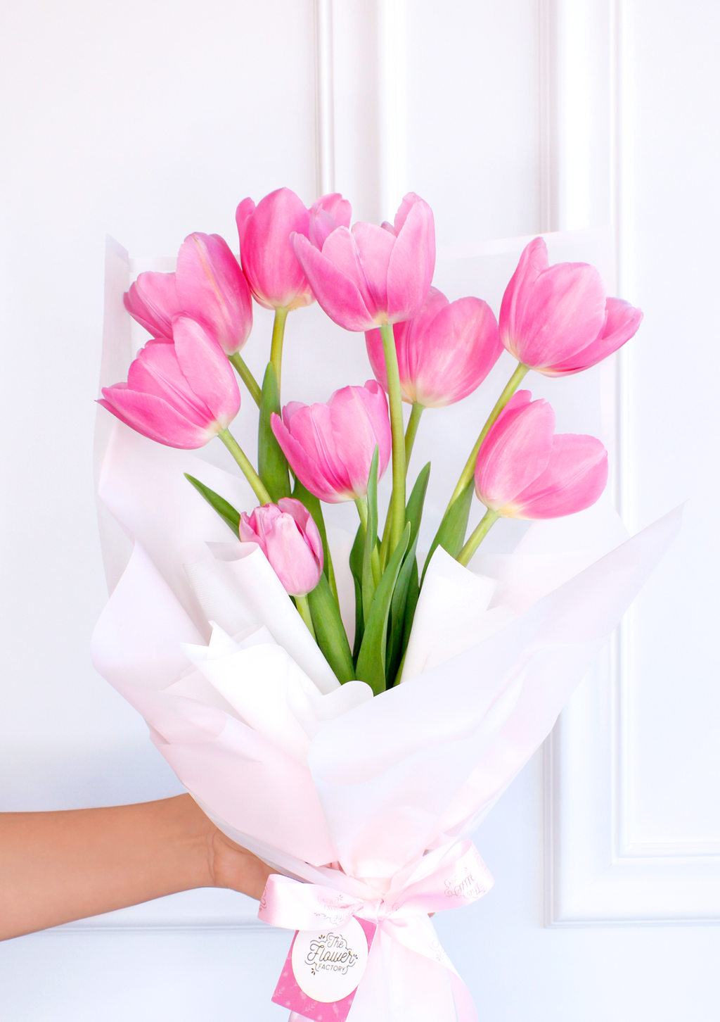 Tulip lover