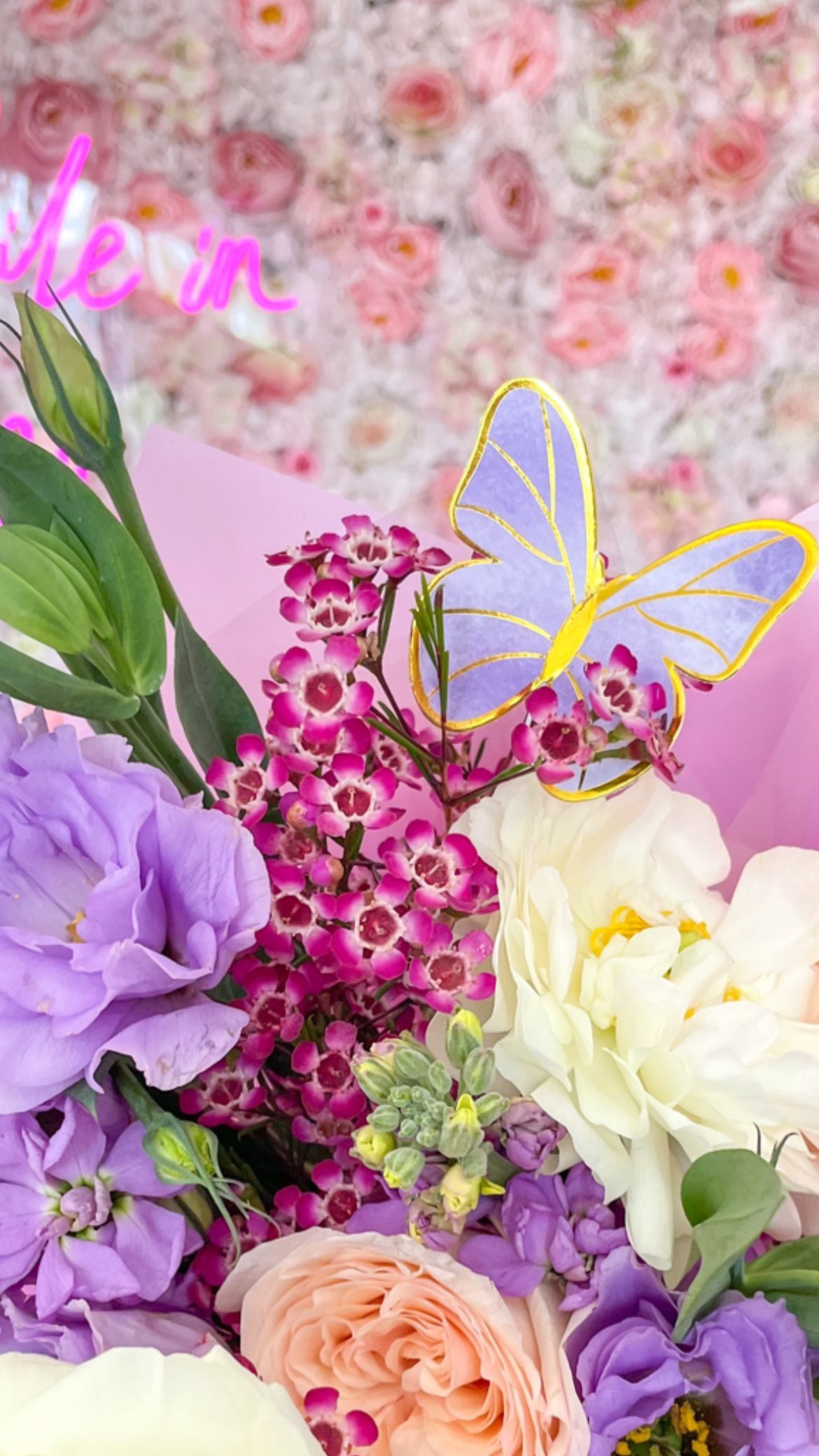 Mariposas