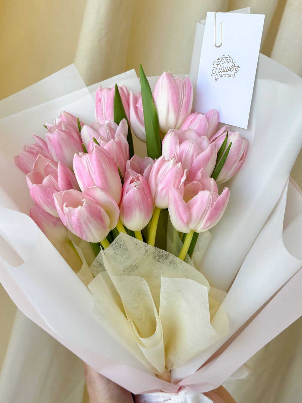 Tulip lover
